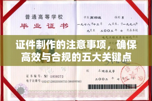 库车证件制作的注意事项，确保高效与合规的五大关键点